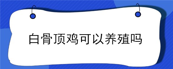 白骨顶鸡可以养殖吗（白骨顶鸡养殖前景）