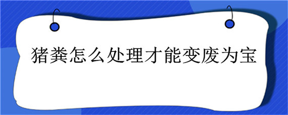 猪粪怎么处理才能变废为宝 猪粪怎么回收