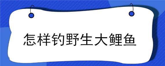 怎样钓野生大鲤鱼（求在大河钓野生鲤鱼方法）