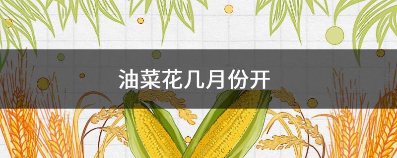 油菜花几月份开 额尔古纳油菜花几月份开