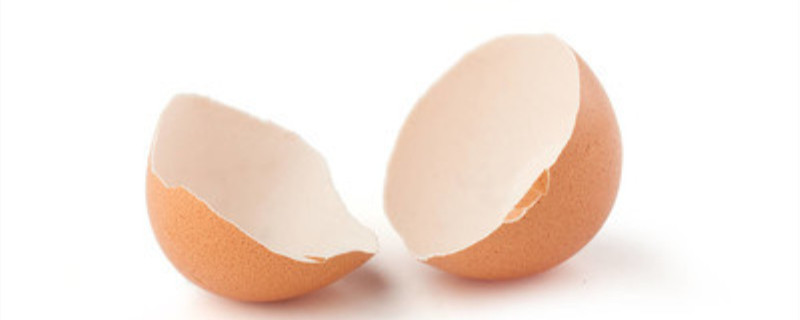 鸡蛋壳是磷肥吗