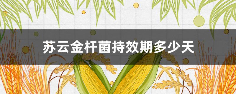 苏云金杆菌持效期多少天