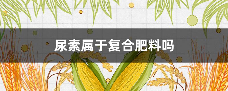 尿素属于复合肥料吗 复合肥料和尿素有什么区别