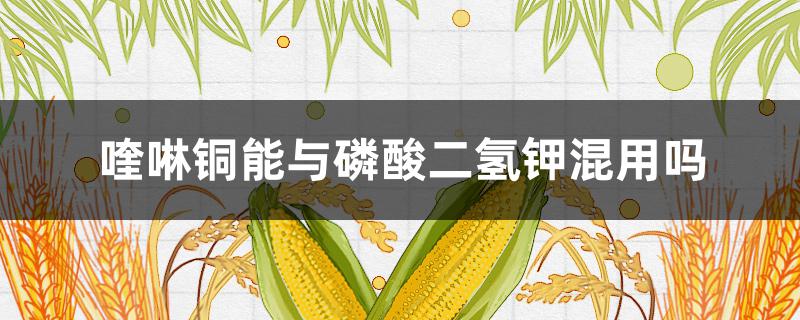 喹啉铜能与磷酸二氢钾混用吗（喹啉铜可以和二氢钾混用吗）