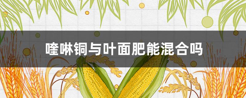喹啉铜与叶面肥能混合吗 喹啉铜可以和叶面肥混用吗