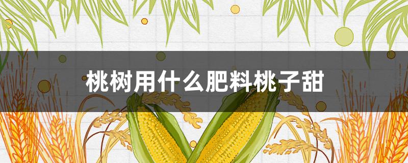 桃树用什么肥料桃子甜