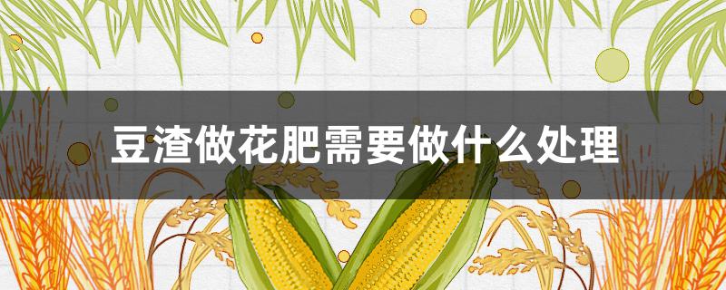 豆渣做花肥需要做什么处理