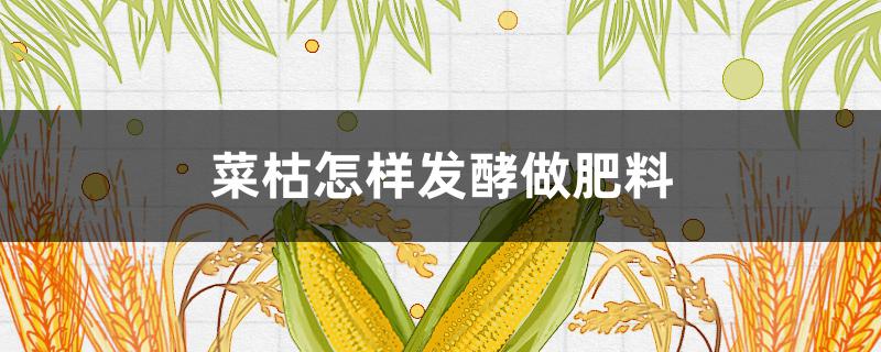 菜枯怎样发酵做肥料