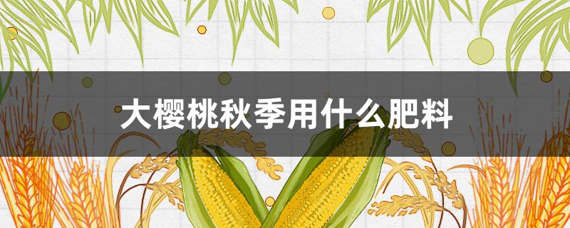 大樱桃秋季用什么肥料