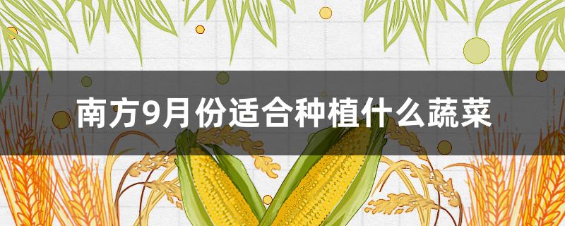 南方9月份适合种植什么蔬菜