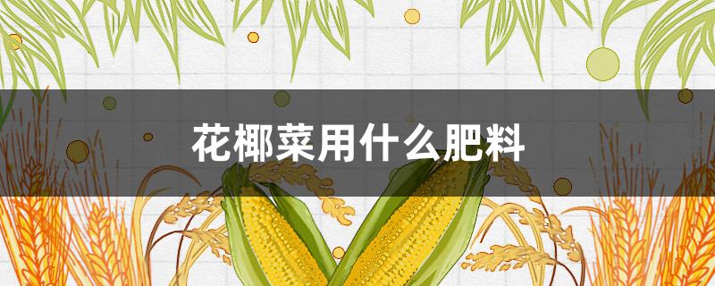 花椰菜用什么肥料