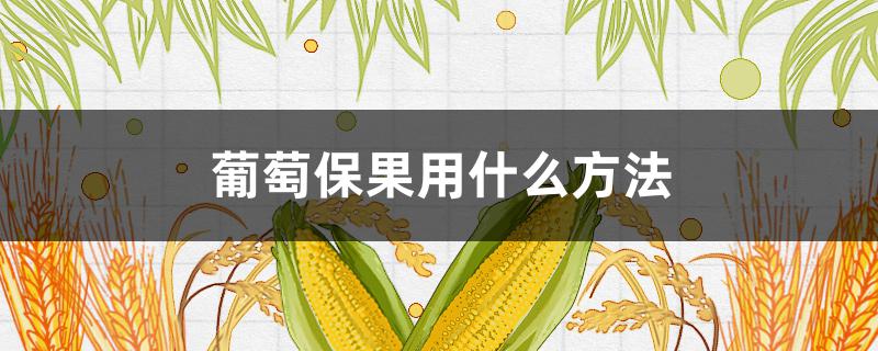 葡萄保果用什么方法