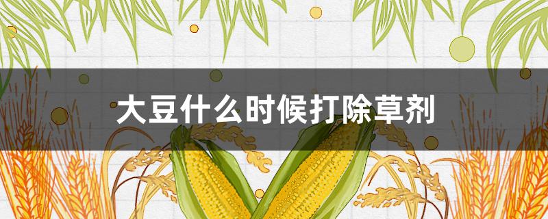 大豆什么时候打除草剂