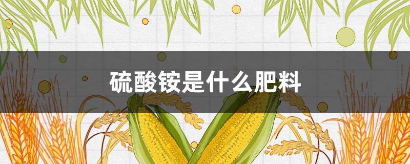 硫酸铵是什么肥料