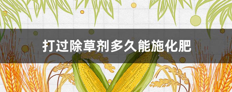 打过除草剂多久能施化肥