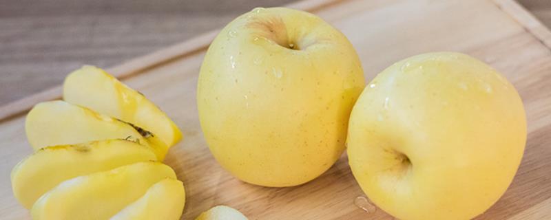 维纳斯黄金苹果怎样种植，附其特性 维纳斯黄金苹果适合在哪里种植