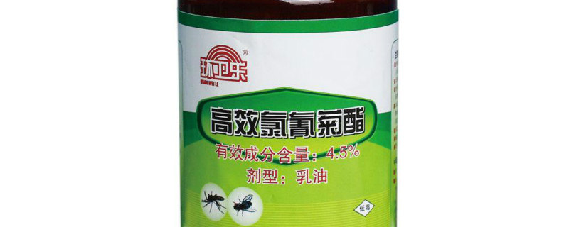 金龟子用什么药打