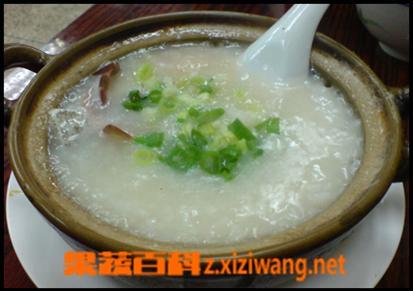侧柏叶粥 侧柏叶汤的功效与作用
