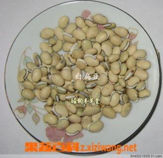 白扁豆粥（白扁豆粥的功效与作用）
