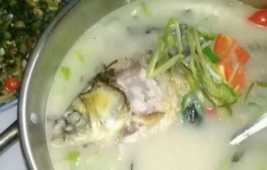 什么人不能喝鲫鱼汤（什么人不能喝鲫鱼汤?有什么禁忌?）