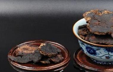 首乌茶怎么泡（首乌怎么泡茶喝）