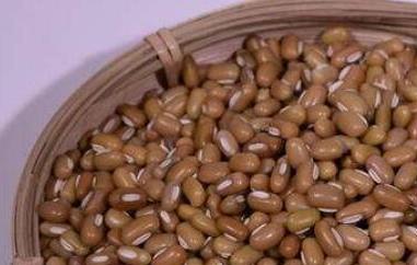 巴山豆的功效和作用 巴山豆的副作用