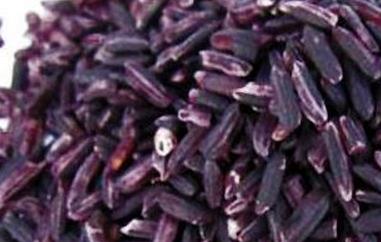 紫米的功效与作用 紫米的功效与作用禁忌