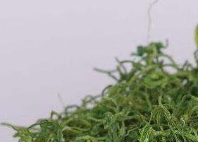 绞股蓝茶的功效与作用（绞股蓝茶的功效与作用及禁忌症）