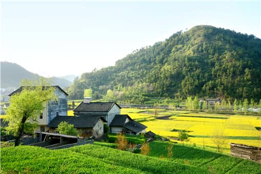 农民永久性退出耕地补偿标准是什么 农村耕地有偿退出的有没有