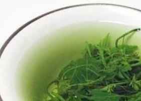 绞股蓝茶的功效与作用 蒲公英与绞股蓝茶的功效与作用