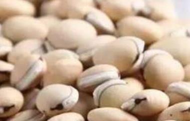 白扁豆的药用价值与功效 白扁豆的药用价值与功效图片