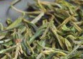 哪些茶叶属于黄芽茶 哪些茶叶属于黄芽茶类