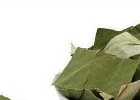 荷叶茶喝了会上火吗（荷叶泡茶会上火吗）