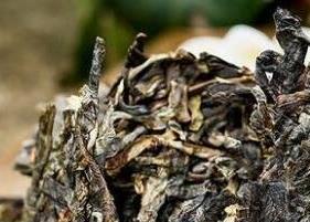 普洱茶生茶砖和白茶有什么区别 普洱生砖和熟砖区别