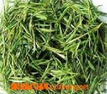 狮口银芽是什么茶（金芽普洱茶是什么茶）