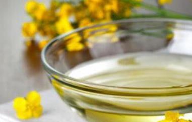 菜籽油的功效与作用 菜籽油的功效与作用及营养价值