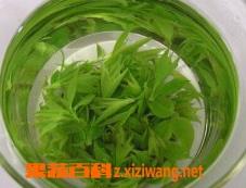 青山绿水茶功效 青山绿水茶功效与禁忌