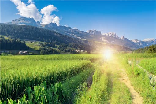 在家致富小项目有哪些（在家致富小项目有哪些名称）