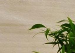 袖珍椰子树的养殖方法和注意事项 袖珍椰子树的养殖方法和注意事项图片