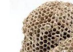 软蜂房与硬蜂房的区别 软蜂房和硬蜂房的区别