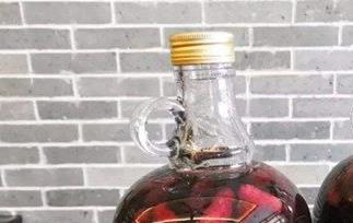 桑果泡酒喝的功效作用（桑果泡酒喝的功效作用及禁忌）