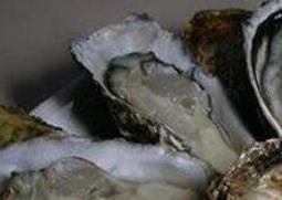 海蛎子怎么去壳（海蛎子如何去壳）