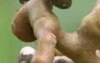 万寿果泡酒的功效与作用（万寿果泡酒的功效和作用）