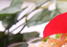 海蜇怎么去咸味 海蜇头如何去咸味