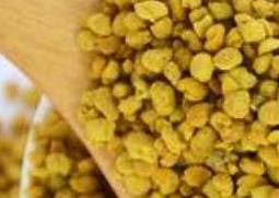 油菜蜂花粉的功效与作用 油菜蜂花粉的功效与作用