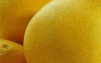 文旦和柚子的区别（水果文旦和柚子的区别）