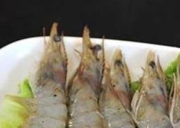 明虾壳的营养价值（海虾壳的营养价值）