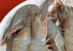大虾和小虾营养价值一样吗 大虾和小虾哪个有营养