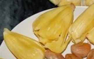 菠萝蜜的核能吃吗 菠萝蜜的核能吃吗煮多久