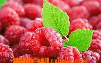 覆盆子的功效与作用 覆盆子的功效与作用与主治与用量